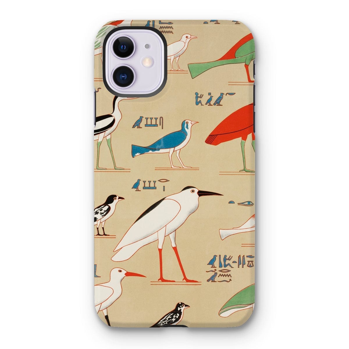 Casezest Mobile Phone Case for iPhone 11 / Gloss Champollion Egyptian Birds Design