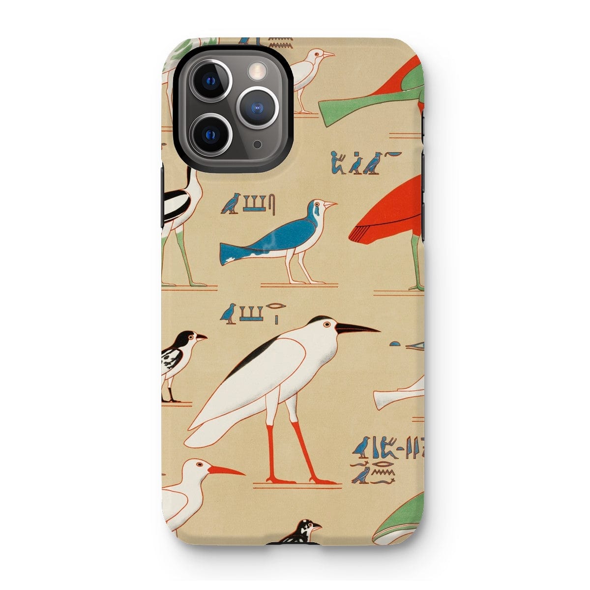 Casezest Mobile Phone Case for iPhone 11 Pro / Gloss Champollion Egyptian Birds Design