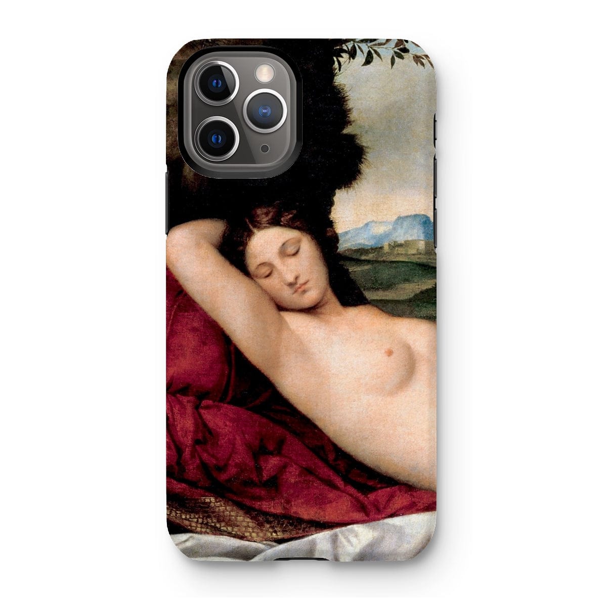 Casezest Mobile Phone Case for iPhone 11 Pro / Gloss Giorgione Sleeping Venus Design