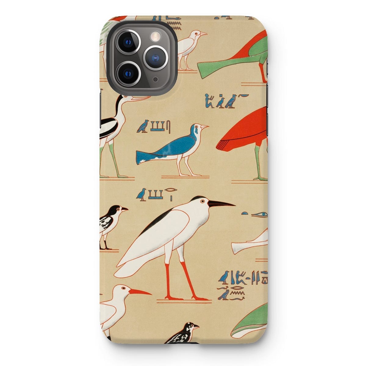 Casezest Mobile Phone Case for iPhone 11 Pro Max / Gloss Champollion Egyptian Birds Design