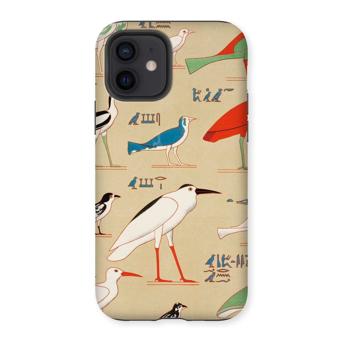 Casezest Mobile Phone Case for iPhone 12 / Gloss Champollion Egyptian Birds Design