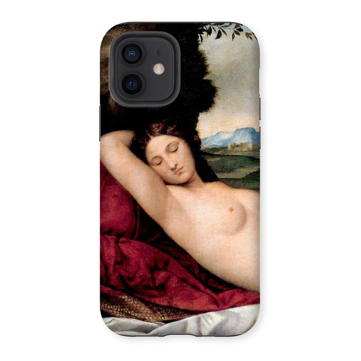 Casezest Mobile Phone Case for iPhone 12 / Gloss Giorgione Sleeping Venus Design