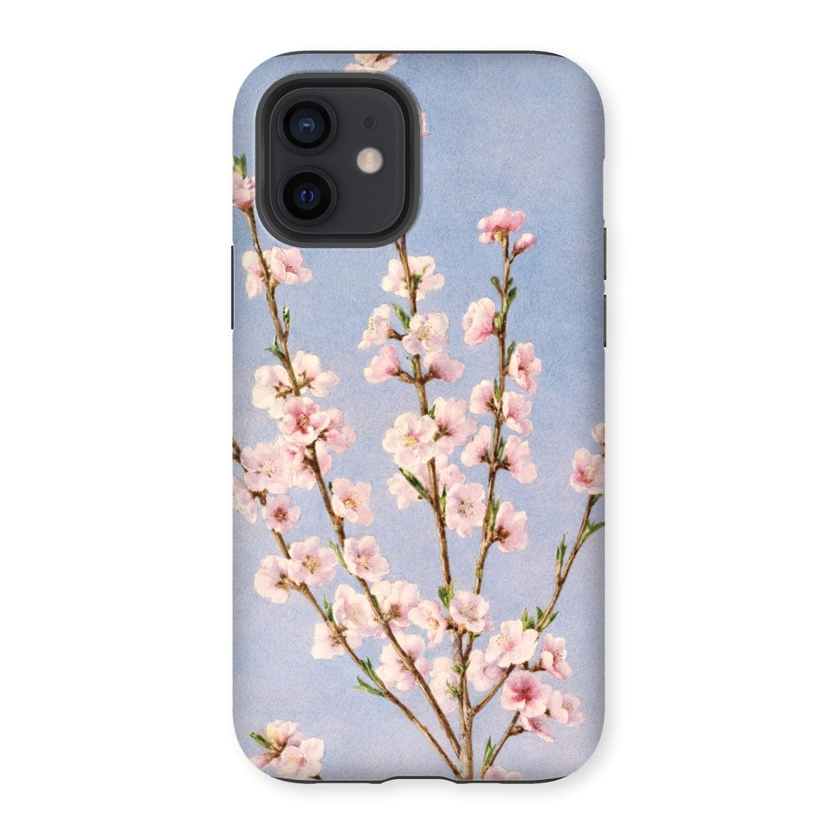 Casezest Mobile Phone Case for iPhone 12 / Gloss Hill Peach Blossoms Design