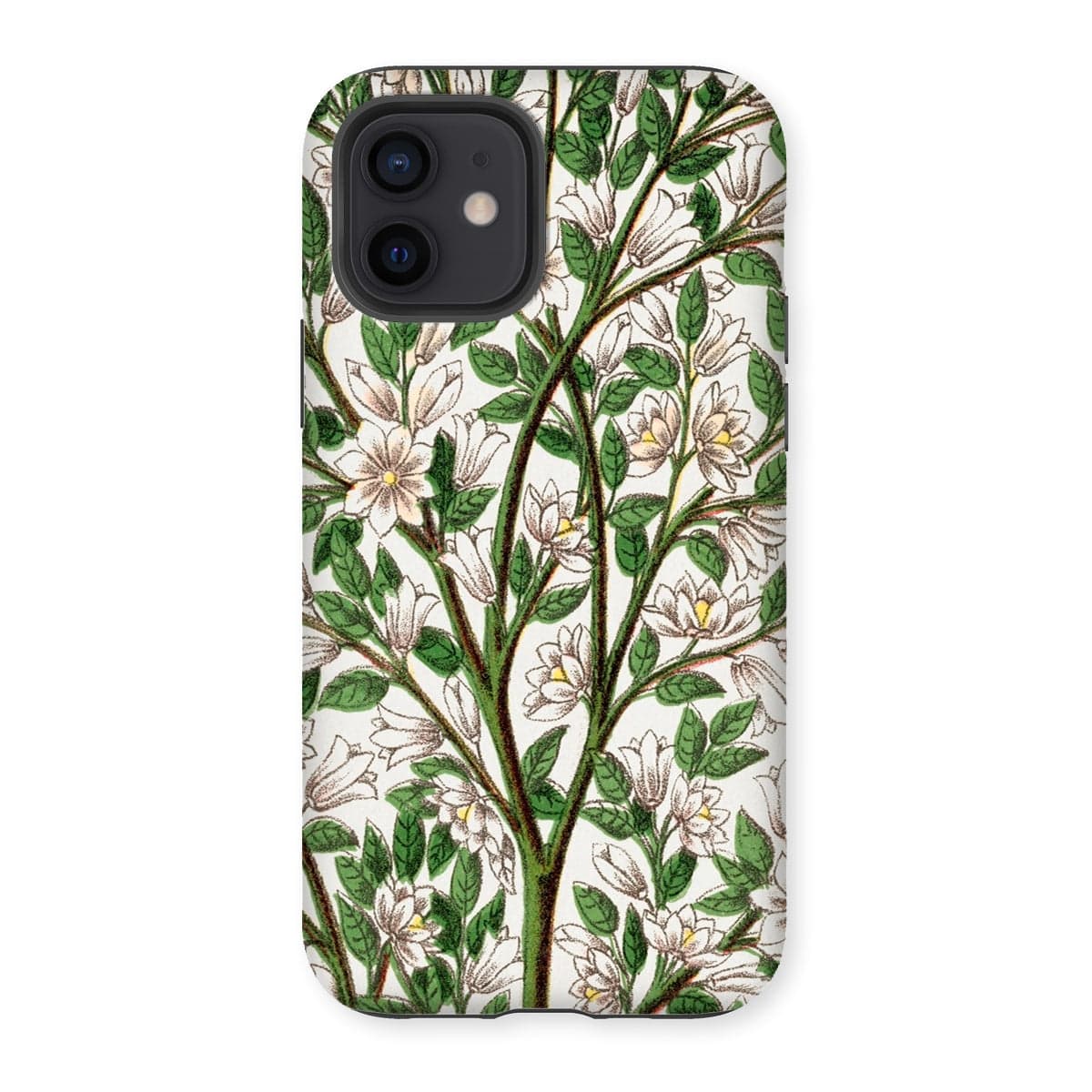 Casezest Mobile Phone Case for iPhone 12 / Gloss Magnolia Lithograph Design