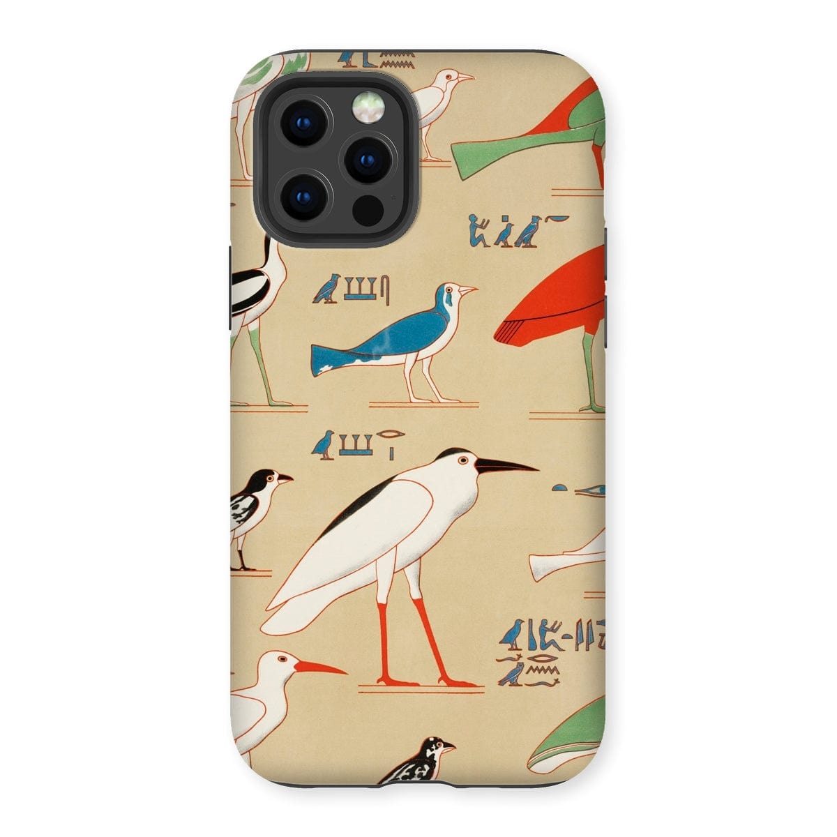 Casezest Mobile Phone Case for iPhone 12 Pro / Gloss Champollion Egyptian Birds Design