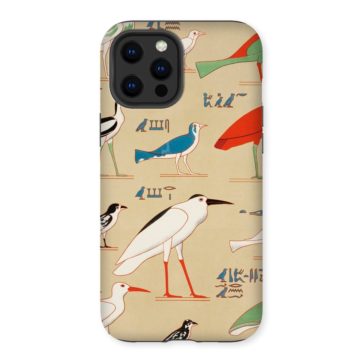 Casezest Mobile Phone Case for iPhone 12 Pro Max / Gloss Champollion Egyptian Birds Design