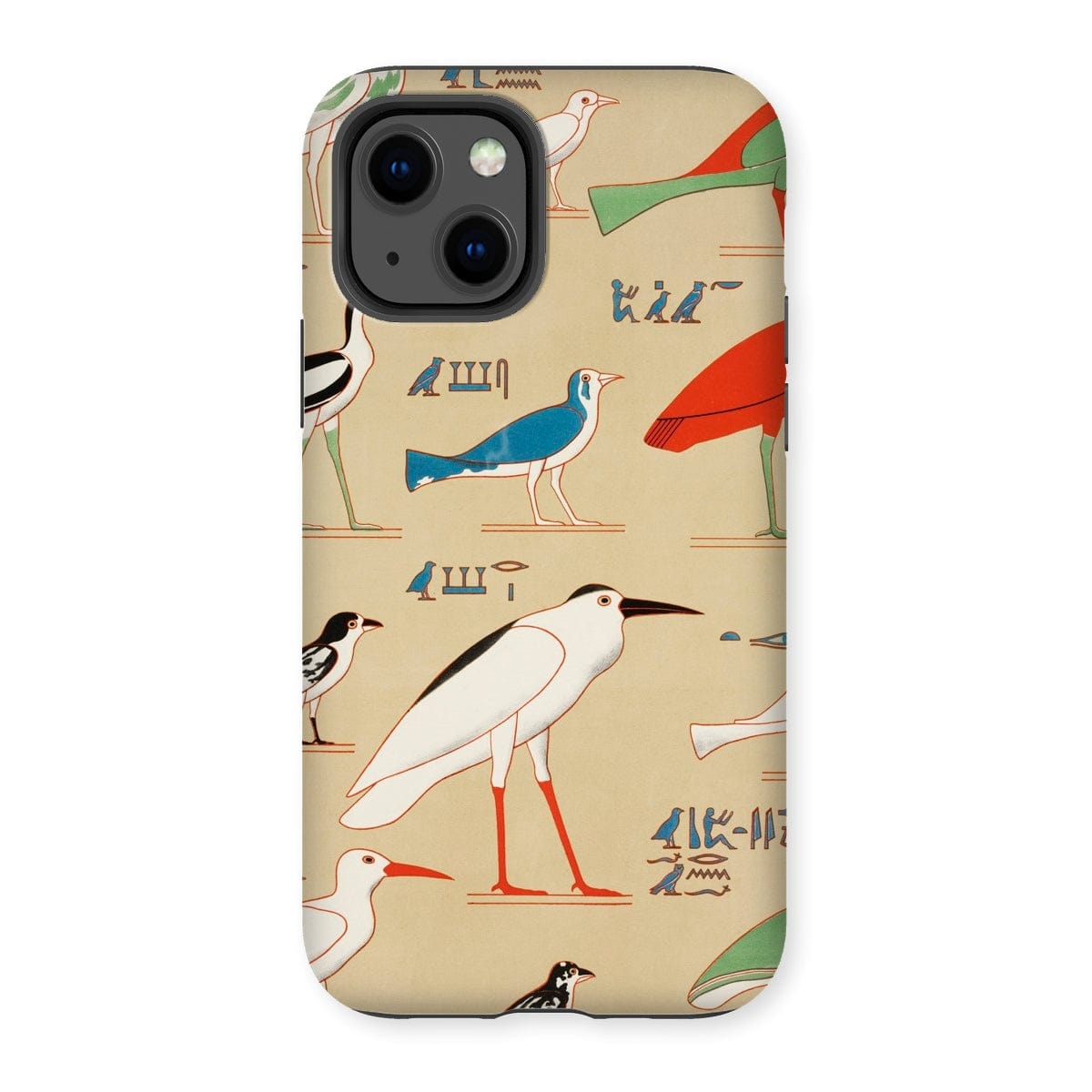 Casezest Mobile Phone Case for iPhone 13 / Gloss Champollion Egyptian Birds Design