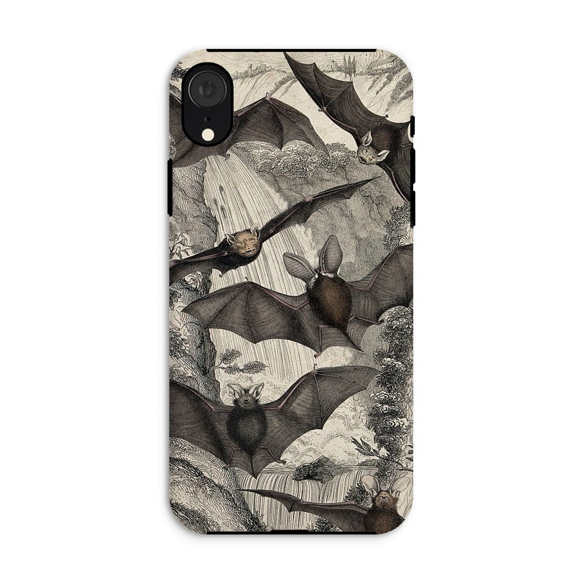 Casezest Mobile Phone Case for iPhone XR / Gloss Milne Bats Design