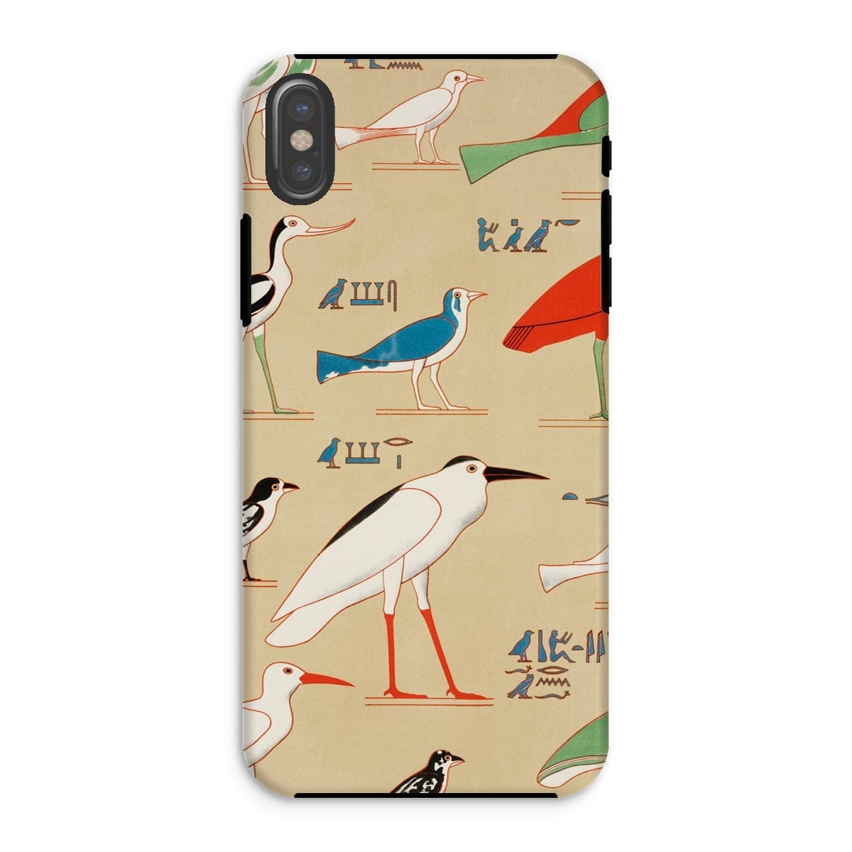 Casezest Mobile Phone Case for iPhone XS / Gloss Champollion Egyptian Birds Design