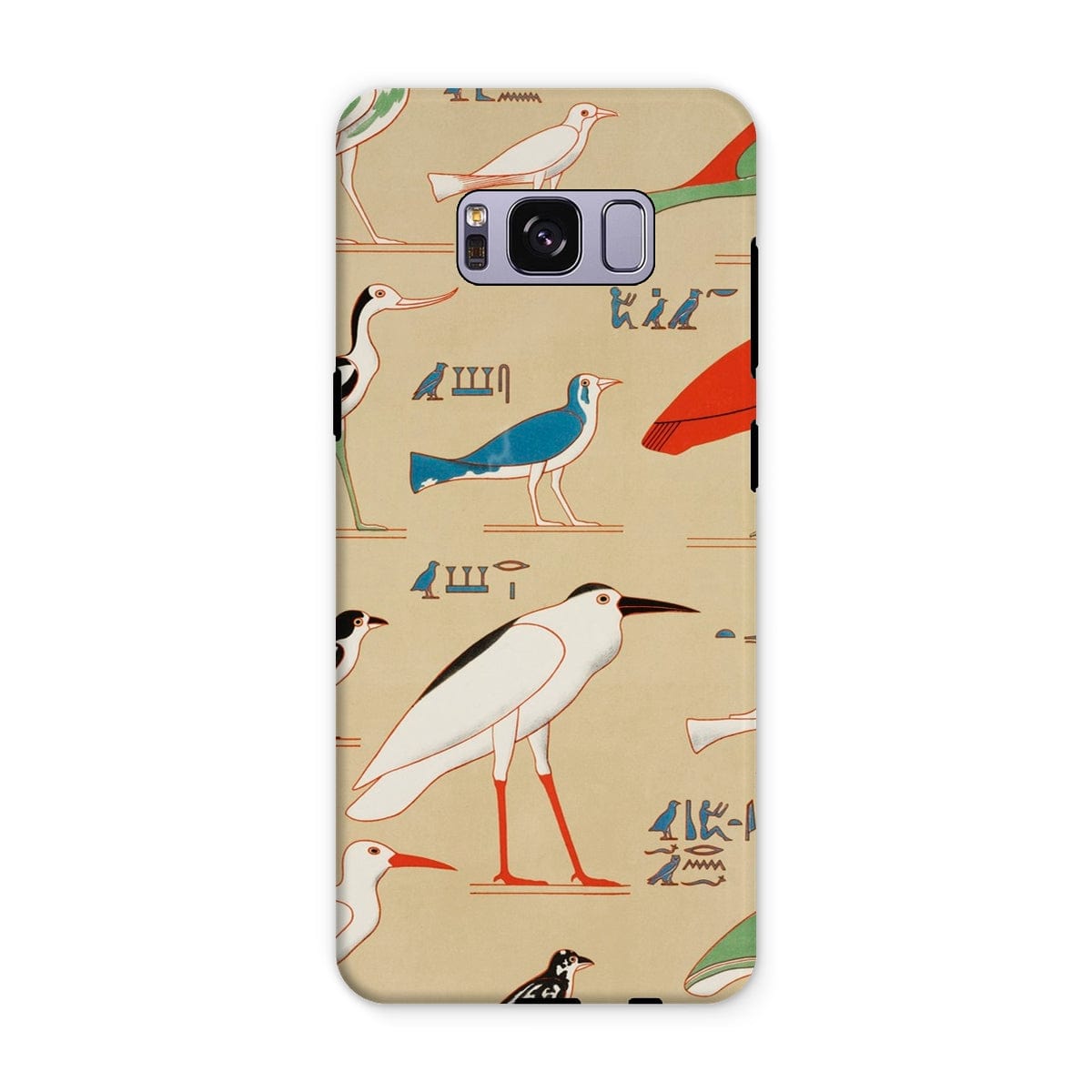 Casezest Mobile Phone Case for Samsung Galaxy S8 Plus / Gloss Champollion Egyptian Birds Design